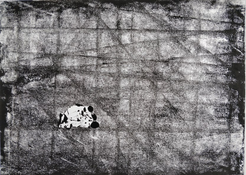 2019 Wadi David Entrance, En Gedi